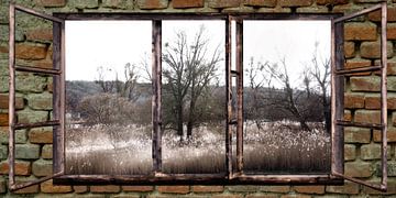 Fensterblick - Herbst in der Au von Christine Nöhmeier