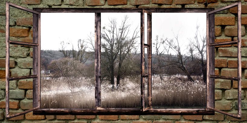  raam uitzicht -Herfst in de uiterwaarden - van Christine Nöhmeier