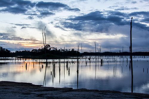 Brokopondostuwmeer in de ochtendgloren von Ton de Koning
