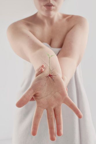 Van Covid-19 tot Klimaatactie: Veerkracht en Duurzaamheid voor een Betere Toekomst