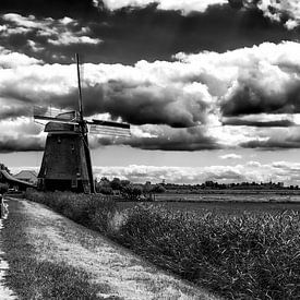 Mill in the Polder by Emre Kanik