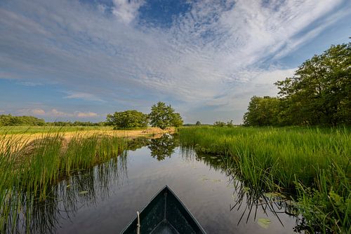 Het landschap van natuurgebied Weerribben-Wieden vanaf een boot