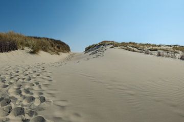 Duinen op Langeoog van Friedhelm Peters