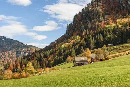 Herfstig Toggenburg in Zwitserland