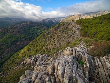 Andalusië - natuurschoon van Sierra de las Nieves van BHotography
