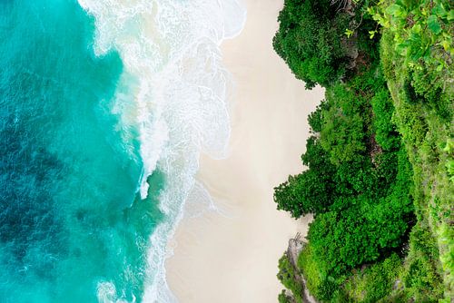 Zomer vanuit de lucht - Tropical Cliff