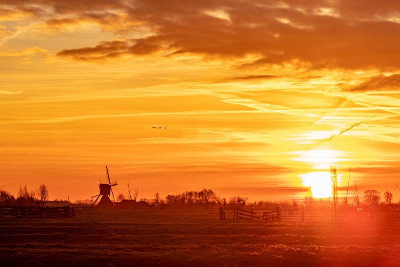 Zonsopkomst in de Krimpenerwaard van Stephan Neven