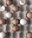Eieren in tray van simone swart thumbnail