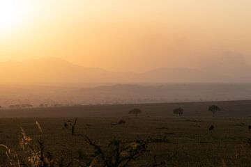 Flames on the horizon - Kidepo's evening light by Rick Massar