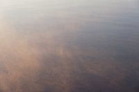 Rosée du matin