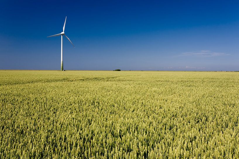 Wind Energy by Angelika Stern