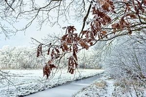 Sneeuw landschap