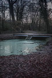 Blauer Teich von Tom Paquay