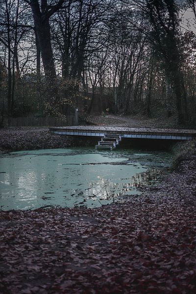 Blue Pond by Tom Paquay