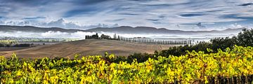 Landschapspanorama van Toscane met wijngaard van Voss Fine Art Fotografie