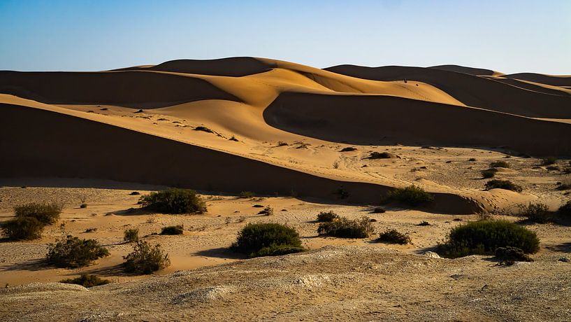 Sand Waves Swakopmund van Willemijn Wolthaus