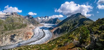 Aletschgletscher in der Schweiz