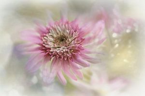Simple blossom #10