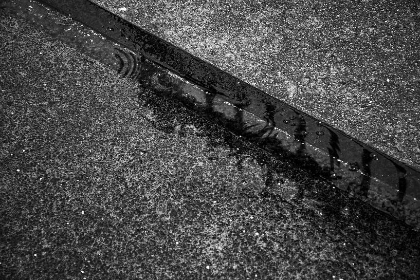 Reflets d'une clôture en treillis dans une flaque d'eau de pluie par Zaankanteropavontuur