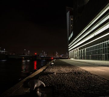 Rotterdam by night, iets anders van Arjan van Roon