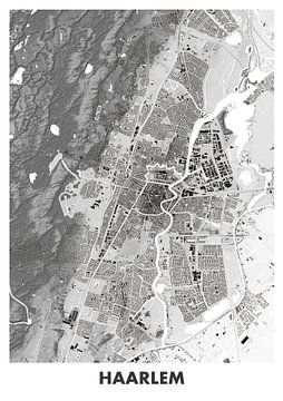 Height map Haarlem by STADSKAART