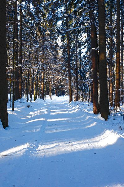 Nice way by Thomas Jäger