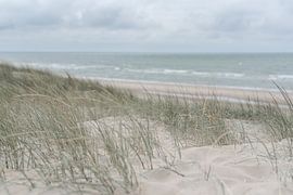 Helmgras am Meer von DsDuppenPhotography