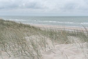 Helmgras bij de zee van DsDuppenPhotography