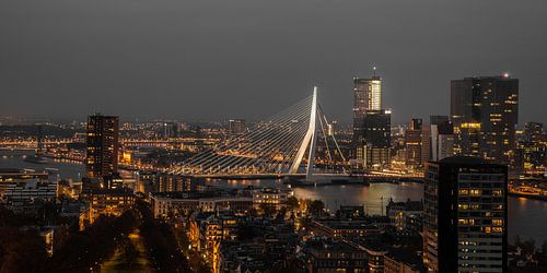 Rotterdam Erasmusbrug