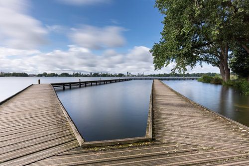 Kralingse Plas van Louise Poortvliet