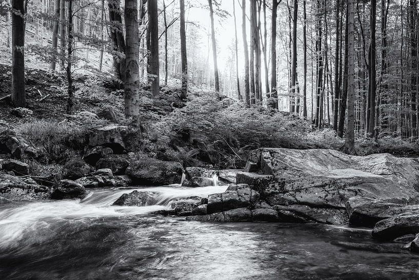 HarzWasser von Tim Lee Williams