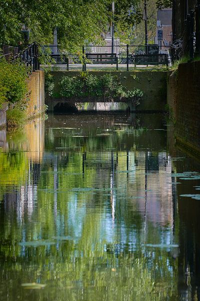 Waterlelies - Zwarte Water kanaal - Utrecht van Coen Koppen