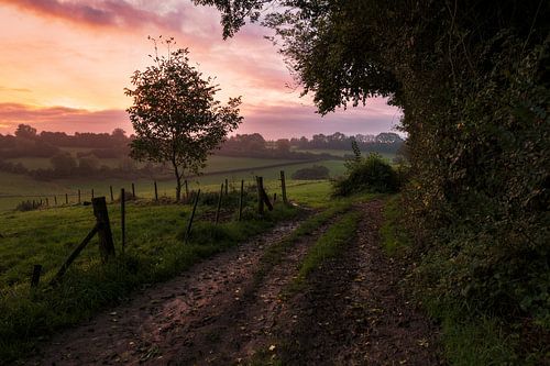 Een Magisch Limburgs Ochtendlandschap: Zonsopkomst over het Platteland