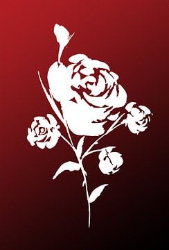 Witte roos op rood van Sebastian Grafmann