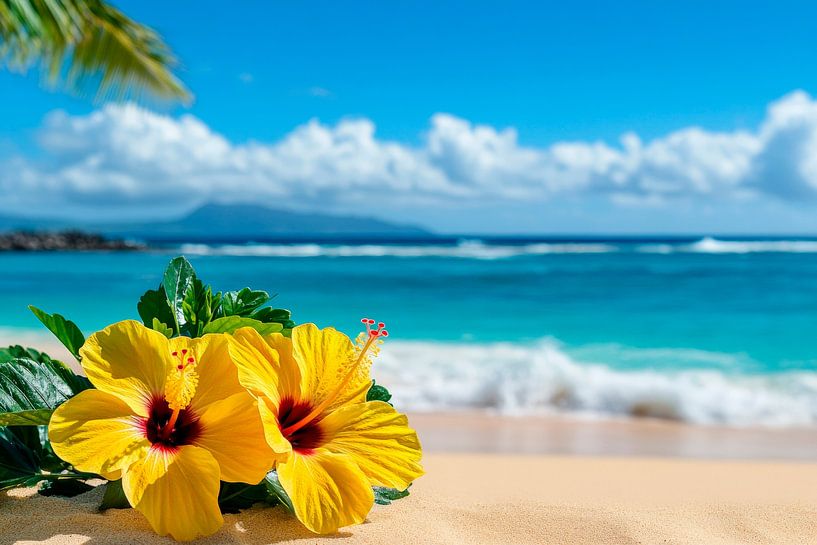 Yellow hibiscus flowers on the beach by Poster Art Shop