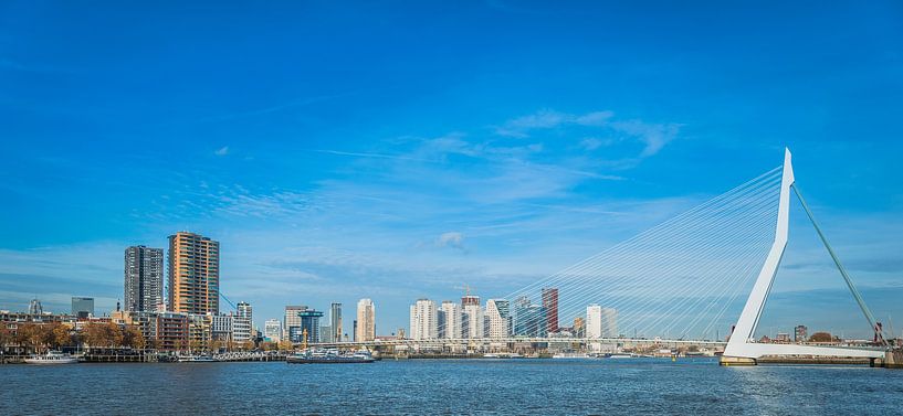 skyline van Rotterdam met de erasmusbrug over de rivier de maas van ChrisWillemsen