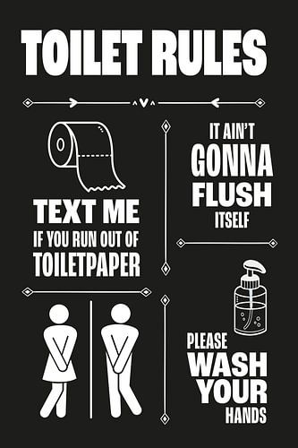 Humour for your Home: Funny Toilet Poster in Style
