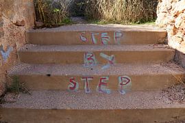 Step by step in colour by Johannes Truyen