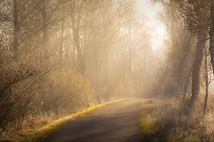 Weg ins Licht
