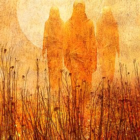 Aus dem Licht treten von Jack Schoneveld