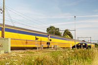 Un train en mouvement