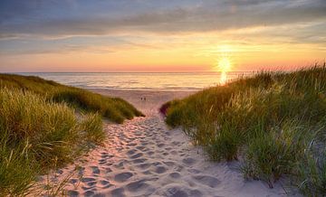 Strandovergang Texel van John Leeninga