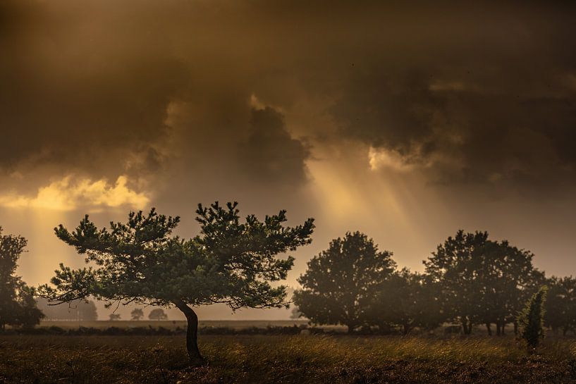 Dark Clouds by Andy Luberti