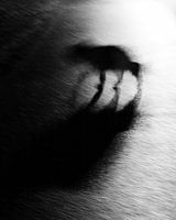 Dämmerung