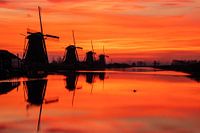 Une chaude aube hollandaise
