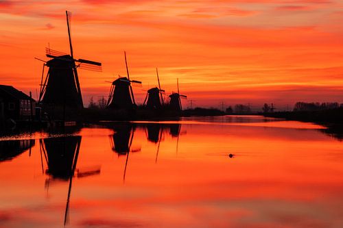 Warm Dutch dawn