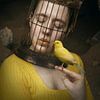 Vrouw met Vogelkooi en Kanarie in de kolenmijn - Symboliek van Mens en Natuur van Elianne van Turennout