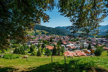 Oberstaufen im Sommer von der Panoramaschleife von Leo Schindzielorz