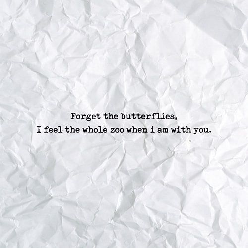 Forget the butterflies, I feel the whole zoo when i am with you by Maarten Knops