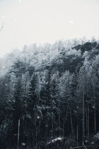 Zschirnstein met besneeuwde bomen en mist op de top